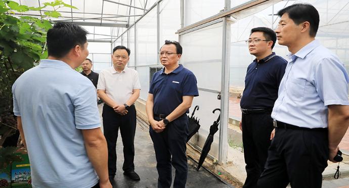 蔣曦在段園鎮調研特色產業發(fā)展情況時強調